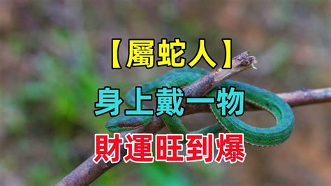 屬蛇配戴|屬蛇的佩戴什麼飾品 